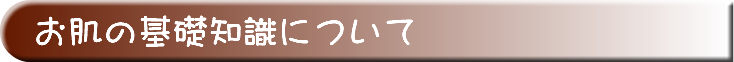 お肌の基礎知識について