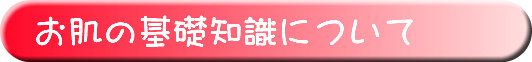 お肌の基礎知識について